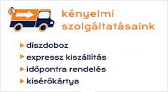 lira.hu kényelmi szolgáltatások