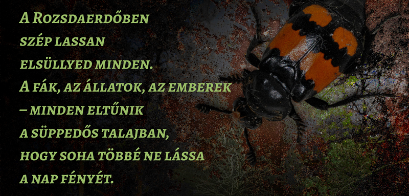 Rozsdaerdő