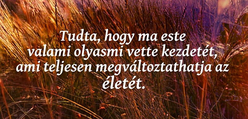 Az utolsó szerelmes dal