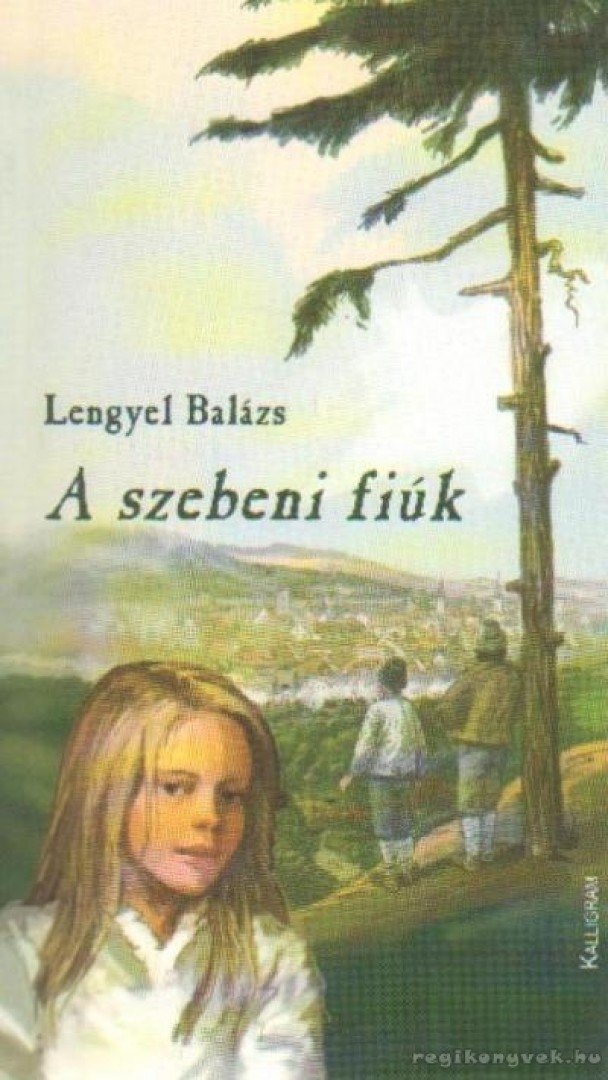 LENGYEL BALÁZS - A szebeni fiúk [antikvár]