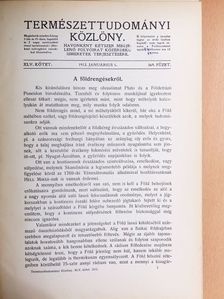 Bálint Sándor - Természettudományi Közlöny 1913. január-december/Pótfüzetek a Természettudományi Közlönyhöz 1913. (nem teljes évfolyam) [antikvár]