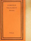 Comenius Ámos János - Comenius válogatott írásai [antikvár]