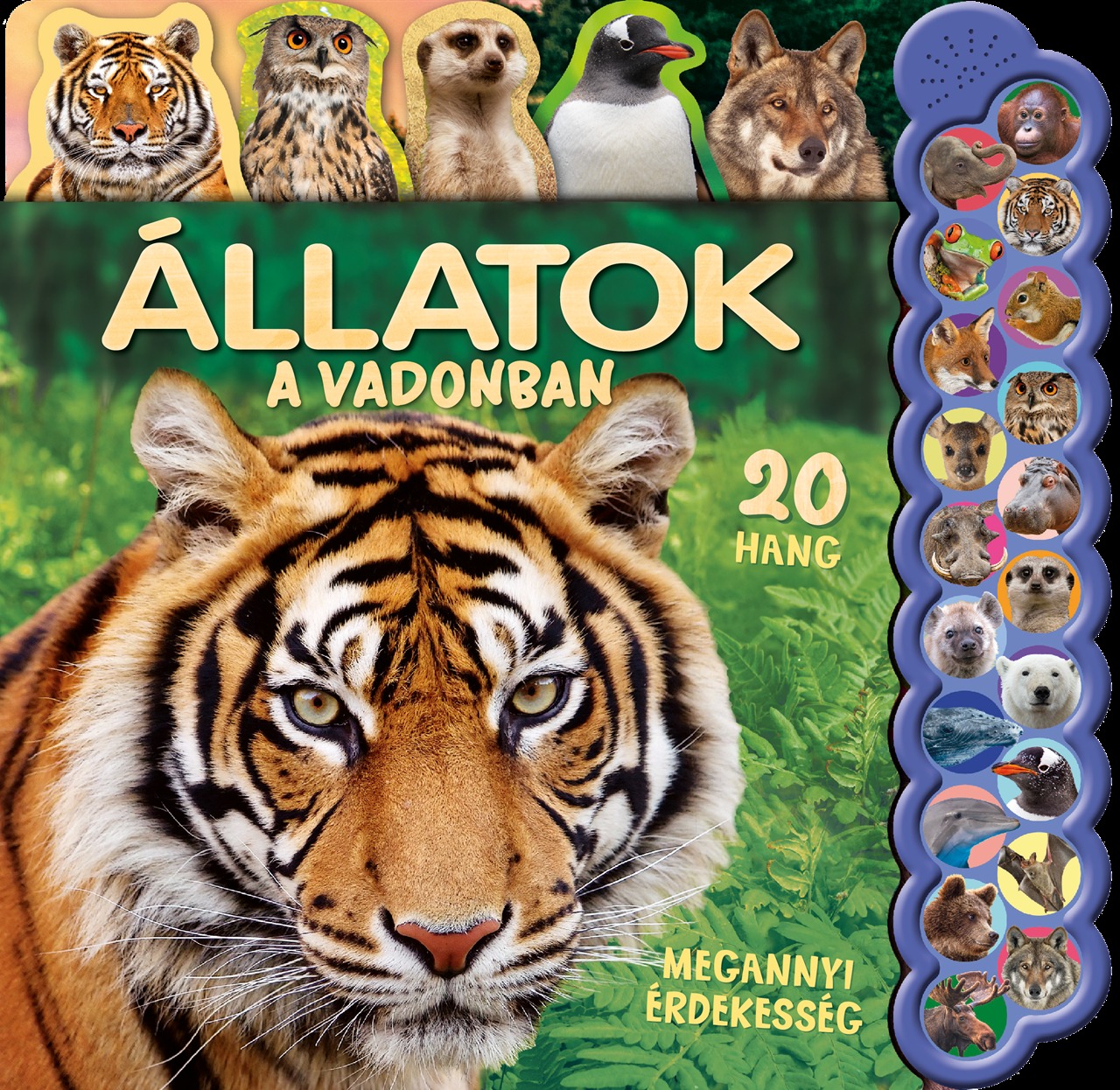 Igloo Books Ltd. - 20 hang - Állatok a vadonban