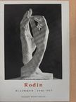 Cécile Goldscheider - Rodin [antikvár]