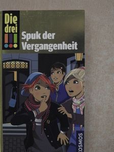 Ann-Katrin Heger - Spuk der Vergangenheit [antikvár]