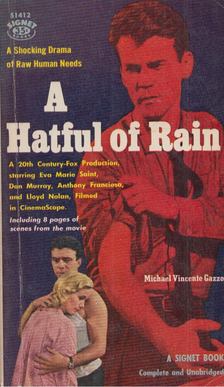 Michael Vincente Gazzo - A Hatful of Rain [antikvár]
