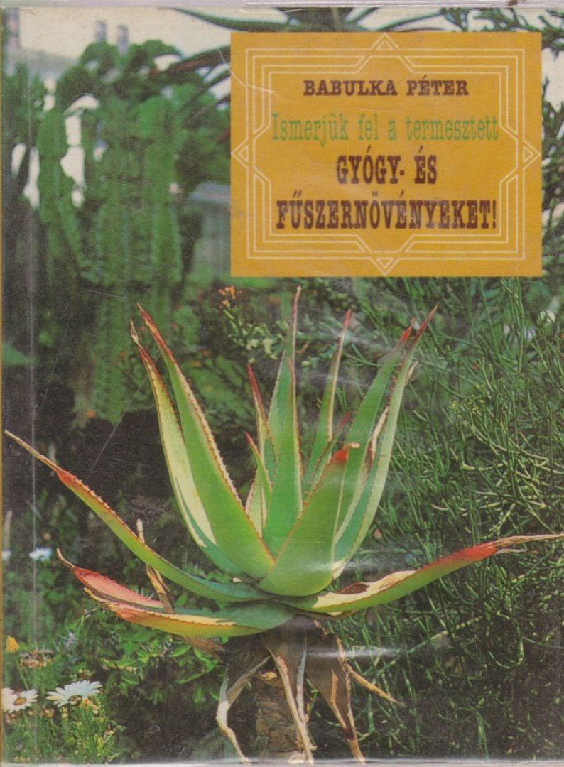 Babulka Péter - Ismerjük fel a termesztett gyógy- és fűszernövényeket! [antikvár]