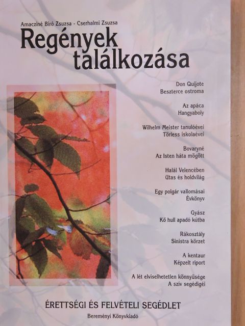 Amacziné Bíró Zsuzsa - Regények találkozása [antikvár]