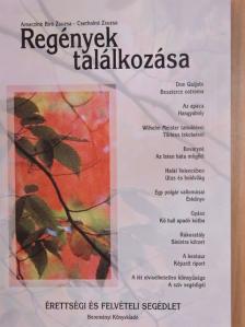 Amacziné Bíró Zsuzsa - Regények találkozása [antikvár]