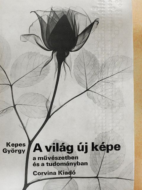 Kepes György - A világ új képe a művészetben és a tudományban [antikvár]