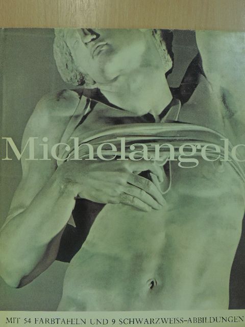Nicholas Wadley - Michelangelo [antikvár]
