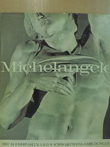 Nicholas Wadley - Michelangelo [antikvár]