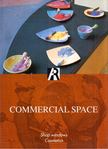 Francisco Asensio Cerver - Commercial Space: Shop Windows - Cosmetics [antikvár]