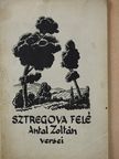 Antal Zoltán - Sztregova felé (aláírt példány) [antikvár]