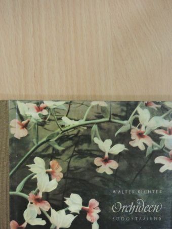 Walter Richter - Orchideen [antikvár]