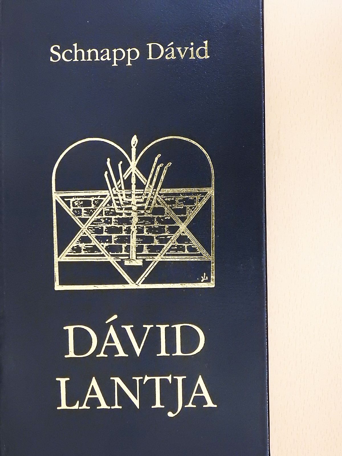 Schnapp Dávid - Dávid lantja (dedikált példány) [antikvár]