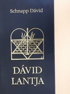 Schnapp Dávid - Dávid lantja (dedikált példány) [antikvár]