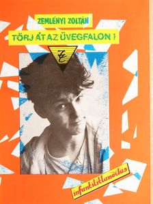 Zemlényi Zoltán - Törj át az üvegfalon! [antikvár]