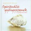 Singh, Rajinder - Spirituális gyöngyszemek a megvilágosodott életért [antikvár]
