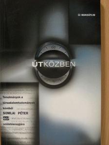Angelusz Róbert - Útközben [antikvár]