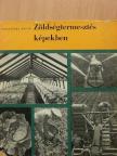 Jeszenszky Árpád - Zöldségtermesztés képekben [antikvár]