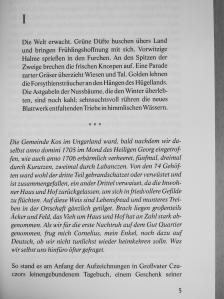 Miklós Vámos - Buch der Väter [antikvár]