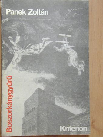 Panek Zoltán - Boszorkánygyűrű [antikvár]