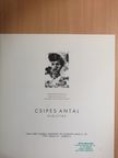 Csipes Antal - Csipes Antal kiállítás [antikvár]