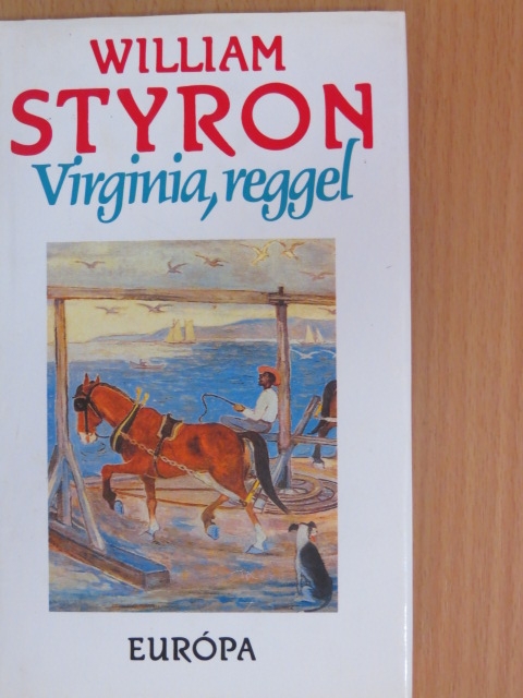 William Styron - Virginia, reggel [antikvár]