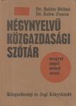 Balázs Béláné, Kelen Zsuzsa - Négynyelvű közgazdasági szótár [antikvár]