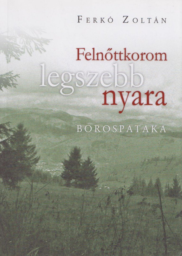 Ferkó Zoltán - Felnőttkorom legszebb nyara [antikvár]