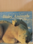 Bryan Hodgson - The World of Baby Animals [antikvár]