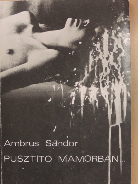 Ambrus Sándor - Pusztító mámorban... [antikvár]