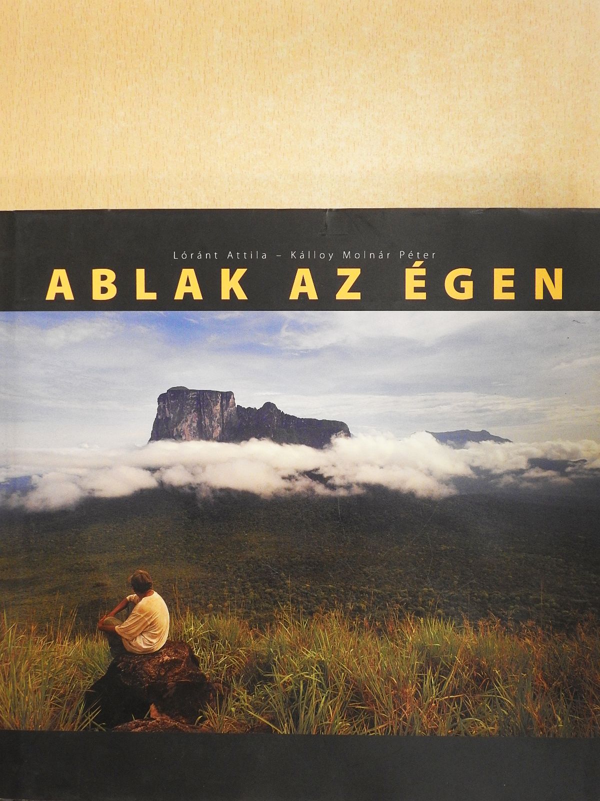 Kálloy Molnár Péter - Ablak az égen (dedikált példány) [antikvár]