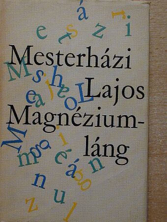 Mesterházi Lajos - Magnéziumláng [antikvár]
