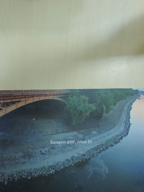 Dozvald János - Dunapest 2007. június 20. [antikvár]