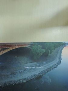Dozvald János - Dunapest 2007. június 20. [antikvár]
