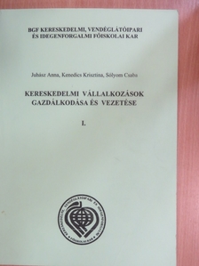 Juhász Anna - Kereskedelmi vállalkozások gazdálkodása és vezetése I. [antikvár]
