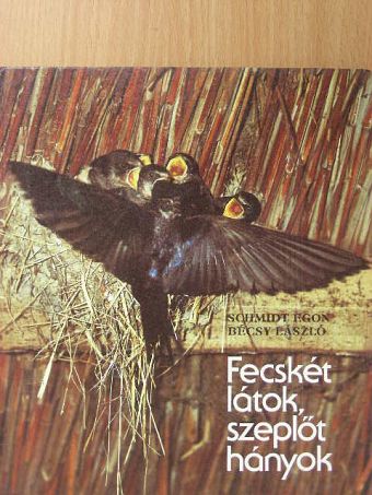 Bécsy László - Fecskét látok, szeplőt hányok [antikvár]