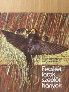 Bécsy László - Fecskét látok, szeplőt hányok [antikvár]