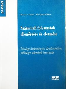 Dr. Sztanó Imre - Számviteli folyamatok ellenőrzése és elemzése [antikvár]