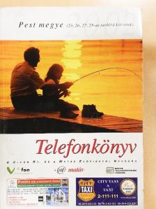 Telefonkönyv - Pest megye (23, 26, 27, 28-as távhívó körzetek) 2002 [antikvár]