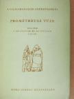 Adam Mickiewicz - Prométheusz tüze [antikvár]