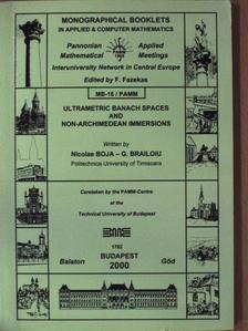 G. Brailoiu - Monographical Booklets in applied & computer Mathematics MB-16 [antikvár]