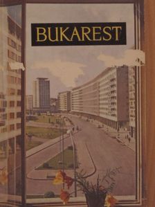 Demostene Botez - Bukarest [antikvár]