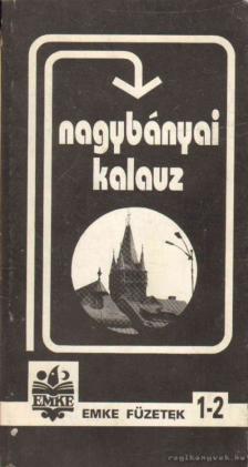 Metz József, Soltz László, Oszóczki Kálmán - Nagybányai kalauz [antikvár]