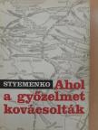 Sz. M. Styemenko - Ahol a győzelmet kovácsolták [antikvár]