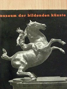 Führer durch die Sammlungen des Museums der Bildenden Künste [antikvár]