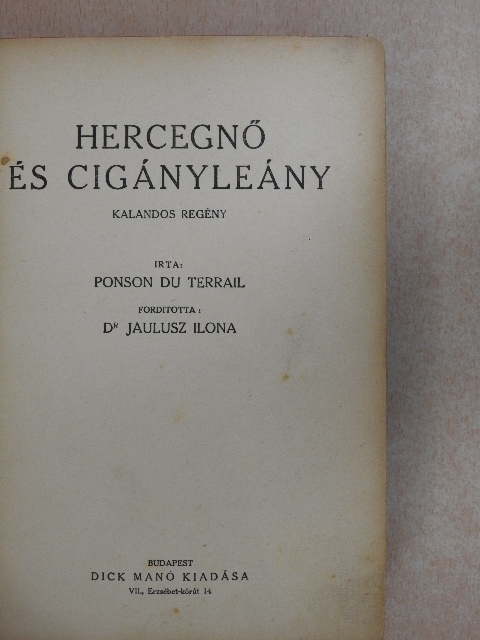 Dr. Jaulusz Ilona - Hercegnő és cigányleány [antikvár]
