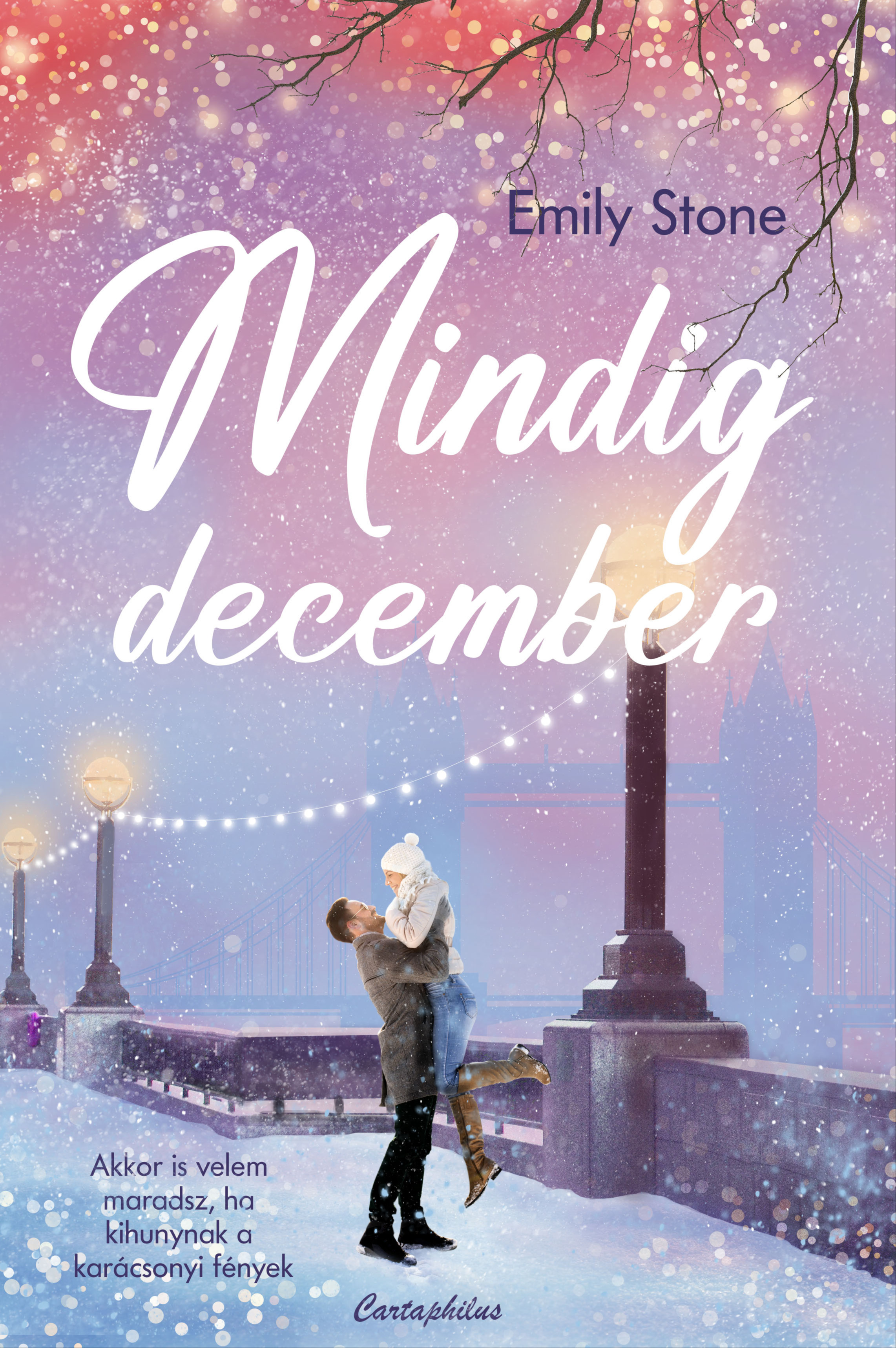 Emily Stone - Mindig december [eKönyv: epub, mobi]